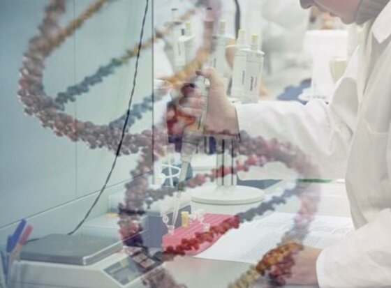 test dna piorrea test dna piorrea